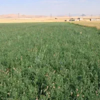 پرس یونجه شهری واسپرس