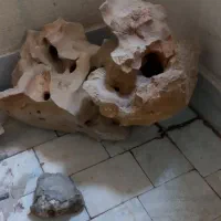 سنگ طبیعی آکواریوم