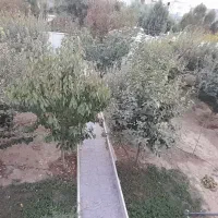 باغ-ویلا1300متر-بسیار-زیبا-چشم-گیر-مهرآباد-رودهن