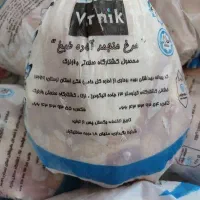 مرغ منجمد تنظیم بازار
