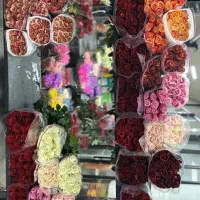تامین گل مستقیم از بازار گل با کمترین سود