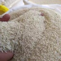 برنج دورود