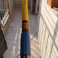 چوب دایوا