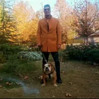 واگذاری بولدگ انگلیسی نر