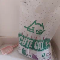 خاک گربه