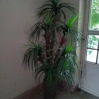 نخل مصنوعی ۶شاخه