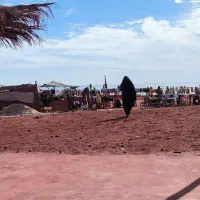 تور قشم ،هرمز،هنگام