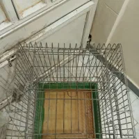 قفس طوطی بزرگ