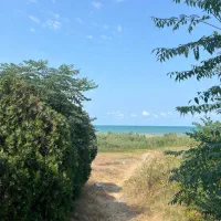فروش ۲۰۰۰ و ۴۰۰۰ متر پلاک ۱ دریا/برای سرمایه گذاری