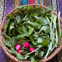 سبزی خوردن پاک شده