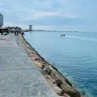 ترخیص انواع ژنراتور برق از دبی به بوشهر