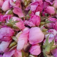 طرح تعویض گلاب ناب با گل محمدی