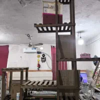 استند