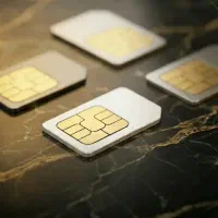 09128819564