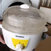 بخار پز