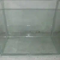 اکواریوم