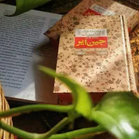 به ادمین روبیکا نیاز داریم