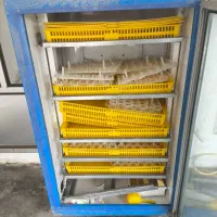 دستگاه جوجه کشی