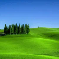فروش زمین  500متری کارمندی   دادگستری