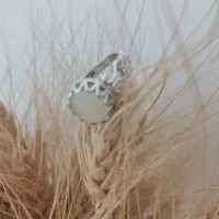 انگشتر عقیق ببری سلیمانی