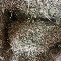 یونجه پرس شده