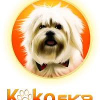 مربی و رفتارشناس سگ