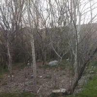 اجاره روزانه خونه ویلایی
