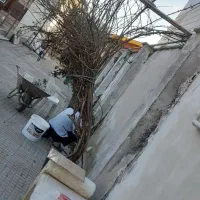 خورده کاری پودر سنگ کاشی‌کاری   کچ کاری  وبندکشی