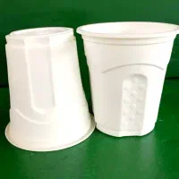 انواع ظروف یکبار مصرف گیاهی