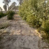فروش-زمین