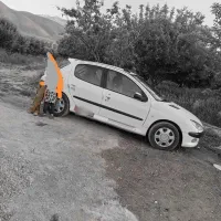 206 اوراق مدارک دارد