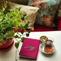 چای عراقی بدون هل با کیفیت ۴۵۰ گرمی ۱۳۵۰