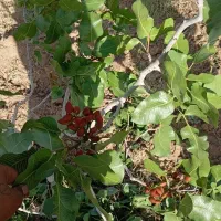 12ساعت آب چاه موتور با35000متر زمین