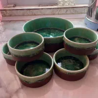 سرویس آجیل خوری