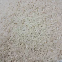 نمیدانه هاشمی درجه یک تصاویرگویا
