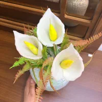 شمع گل شیپوری شاخه ایی