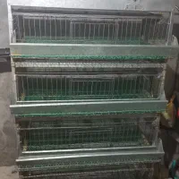 قفس ۴طبقه ی بلدرچین