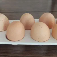 تخم مرغ محلی