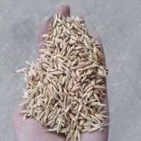 جو،|لوازم جانبی حیوانات|جهرم, |دیوار