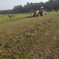 ارسال علوفه درجه یک(یونجه) به سراسر کشور