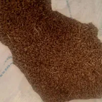 ۳ تن گندم تمیز