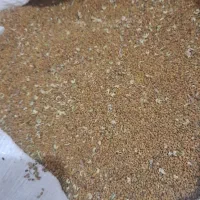 ینجه