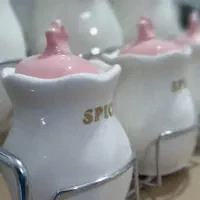 سرویس پاسماوری چینی سرامیک با استند آک با کیفیت