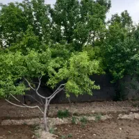 ویلا نقدی معاوضه تهراندشت|فروش آپارتمان|کرج, جهان‌شهر|دیوار