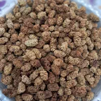 توت خشک سفید