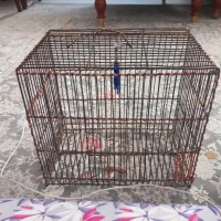قفس