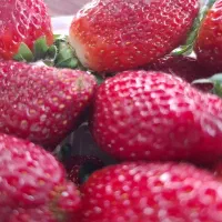 به تعدادی کارگرساده نیازمندیم