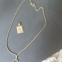 پلاک وگل گوش