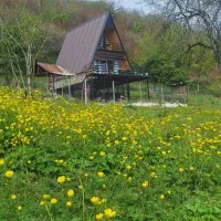 اجاره کلبه سوئیسی در ماسال