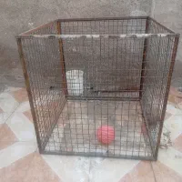 قفس سگ